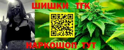 сатива Ачхой-Мартан