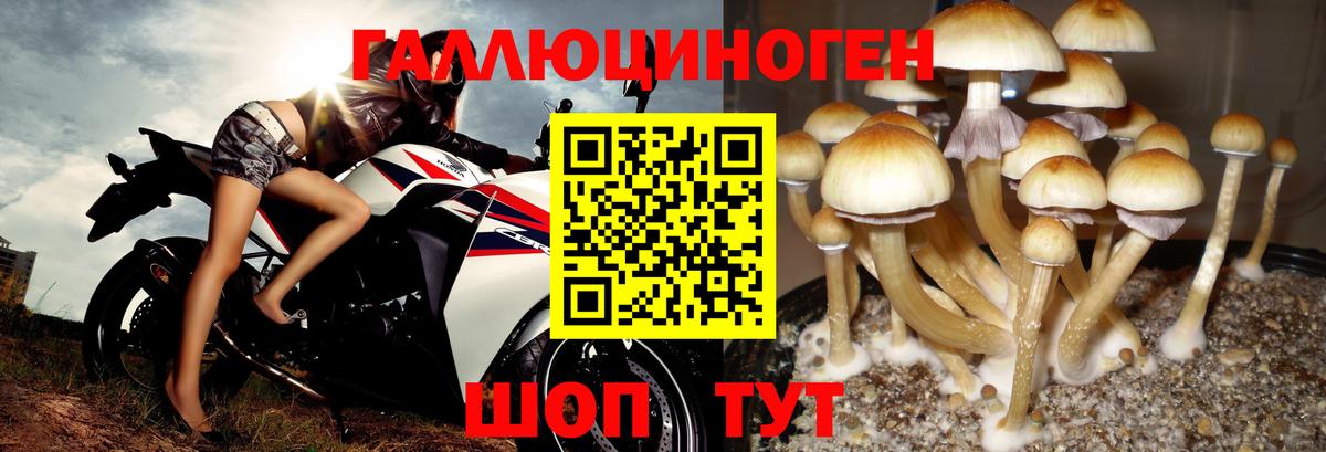 что такое   Галлюциногенные грибы MAGIC MUSHROOMS  Вход с VPN  Миасс 